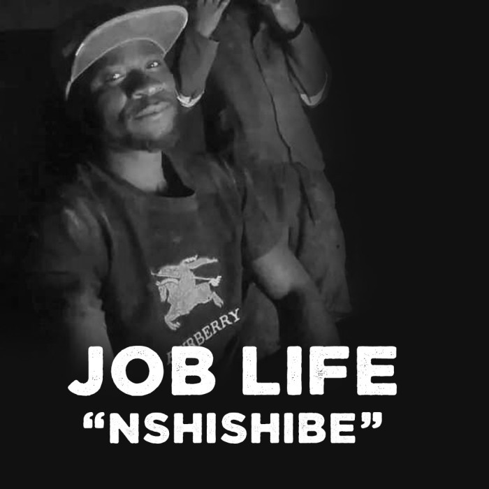Song Cover